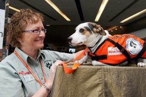 Julia-the-500th-Hearing-Dog-and-her-trainer-Mary-Knight-May-2012-600w